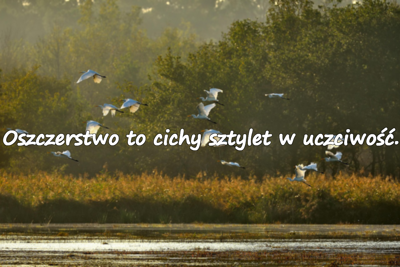 Znaczące Cytaty o Oszczerstwach