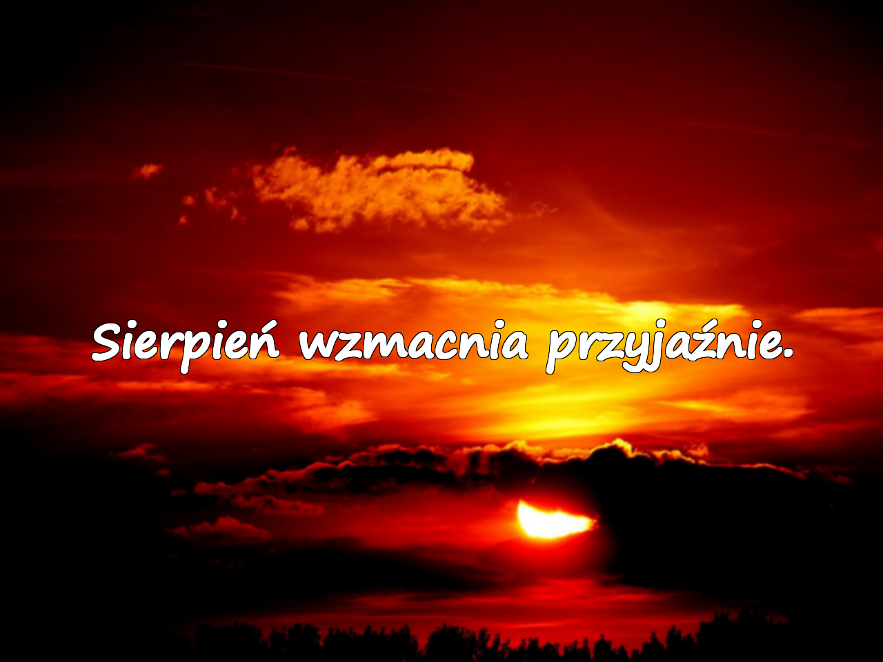 Sierpień wzmacnia przyjaźnie.