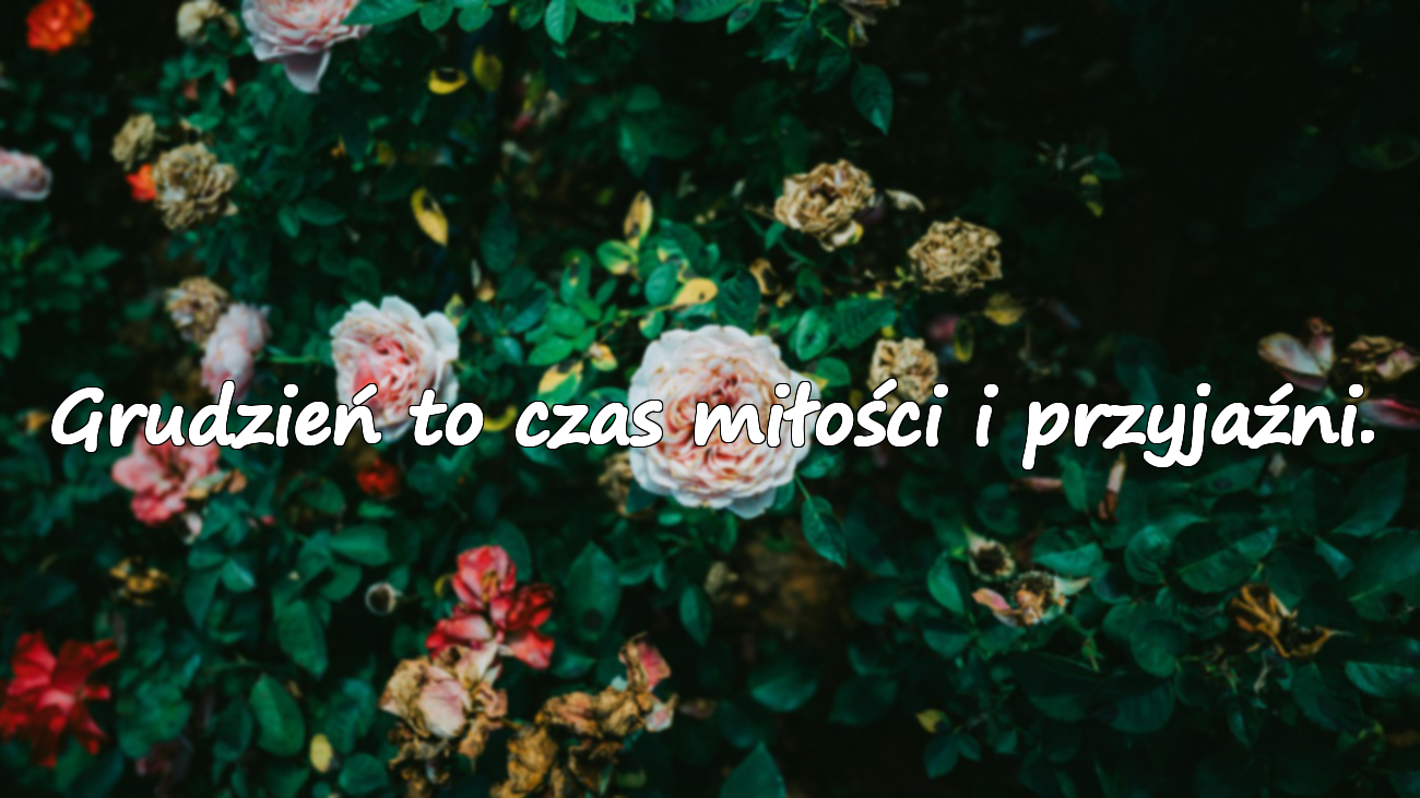 Znaczące cytaty o grudniu