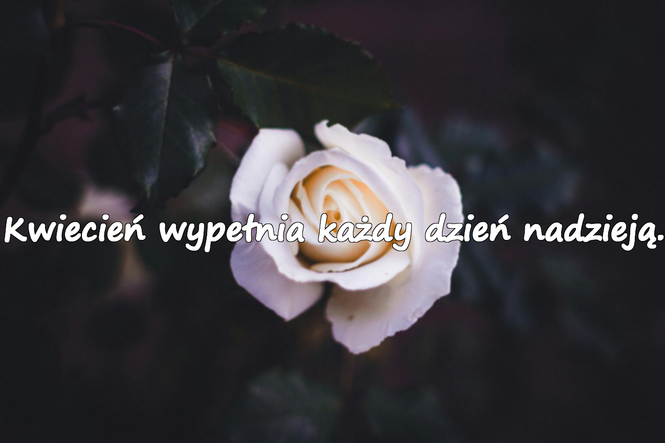 Znaczące cytaty o kwietniu