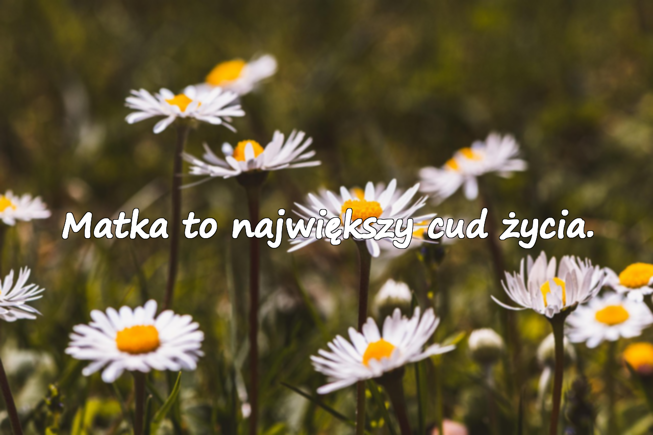 Znaczące cytaty o matce