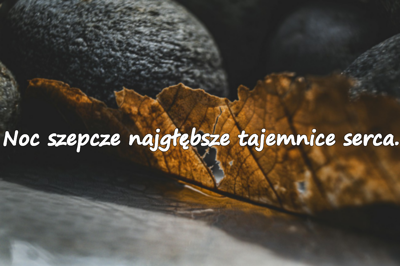 Znaczące cytaty o nocy