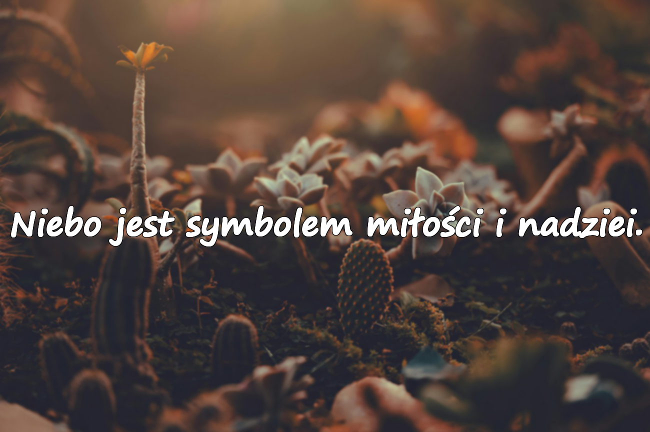 Znaczące i piękne cytaty o niebie