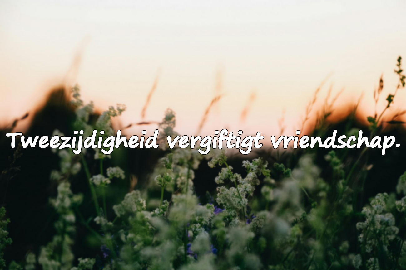 Zware, allusieve woorden voor tweezijdige mensen