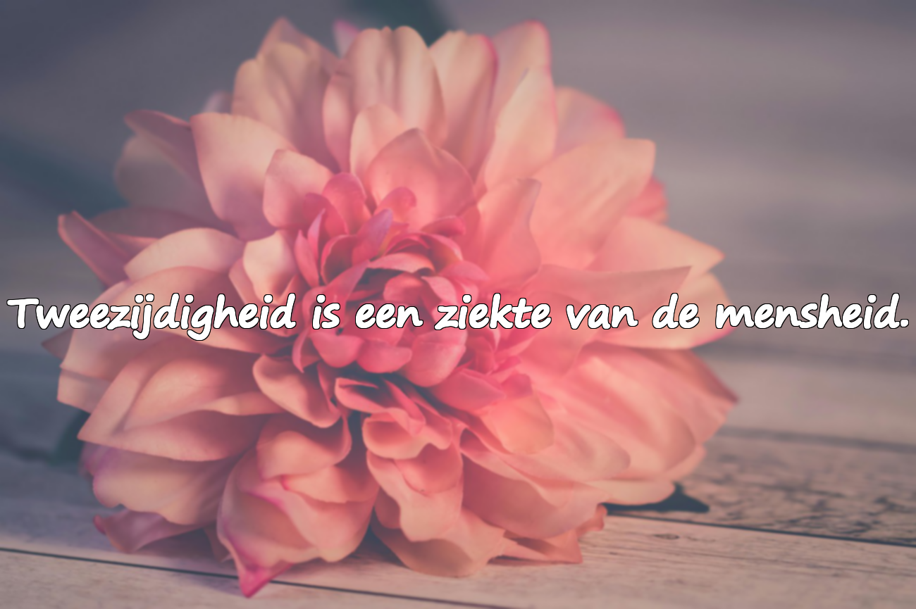 Zware, allusieve woorden voor tweezijdige mensen