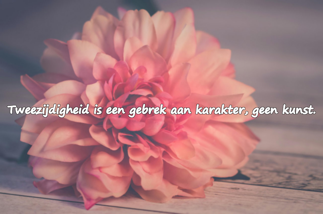 Zware, allusieve woorden voor tweezijdige mensen