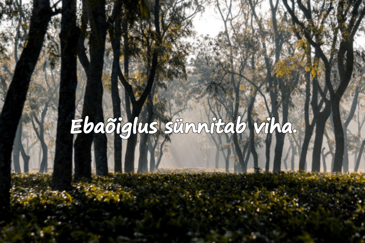 Õigluse kohta sõnad