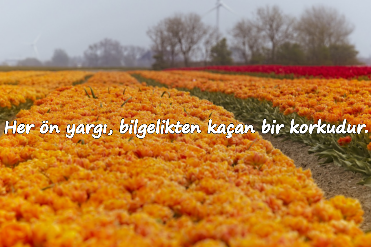 Her ön yargı, bilgelikten kaçan bir korkudur.