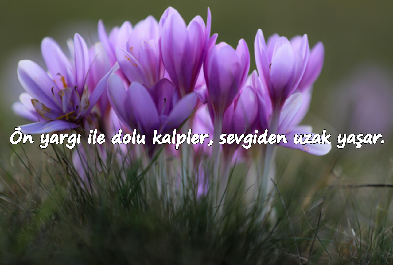 Ön yargı ile dolu kalpler, sevgiden uzak yaşar.