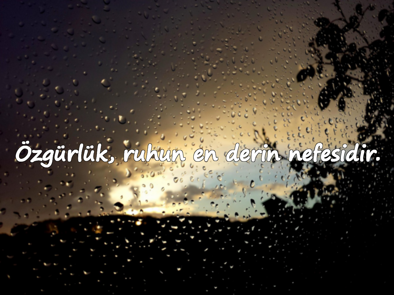 Özgürlük, ruhun en derin nefesidir.