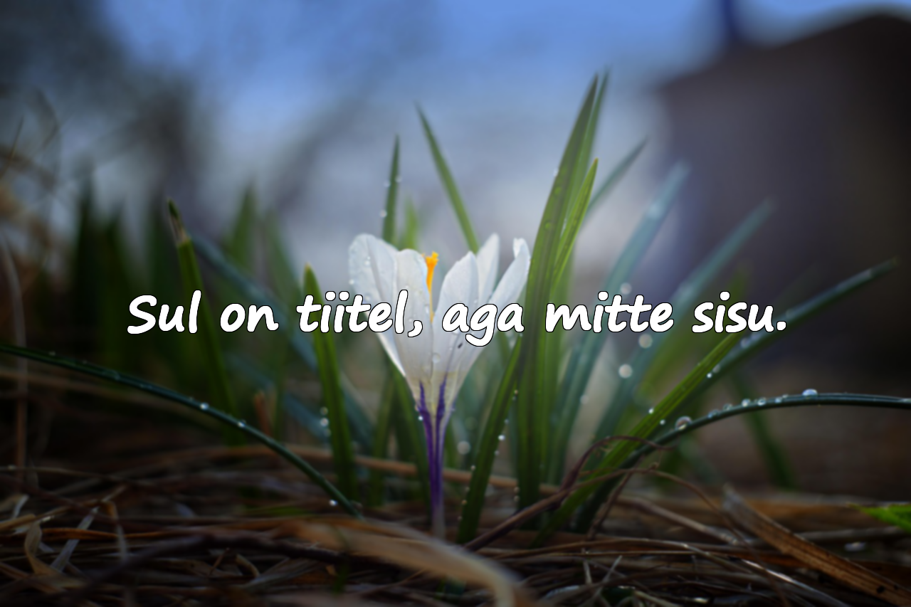 Ülemuse ja Ülbuse Tsitaadid