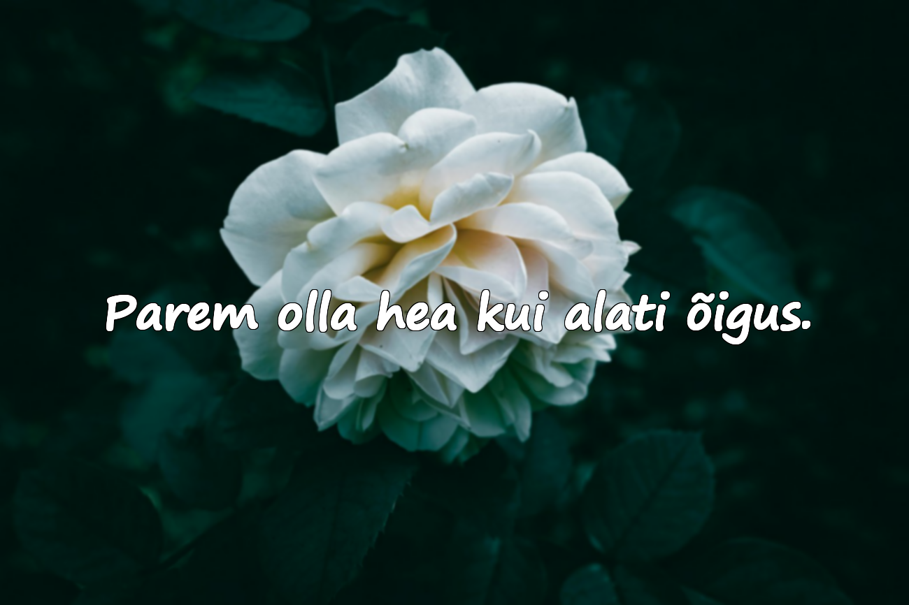 Ülemuse ja Ülbuse Tsitaadid