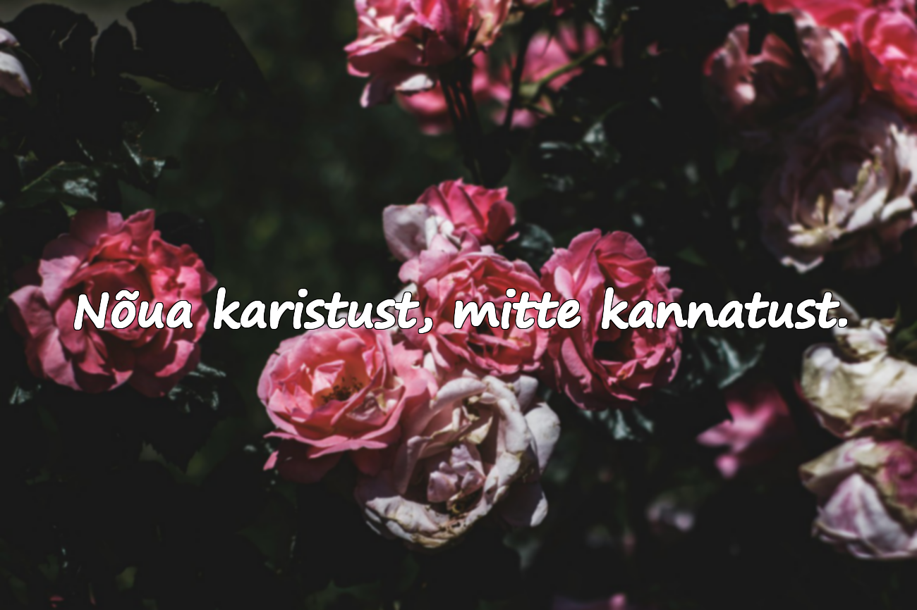 Nõua karistust, mitte kannatust.