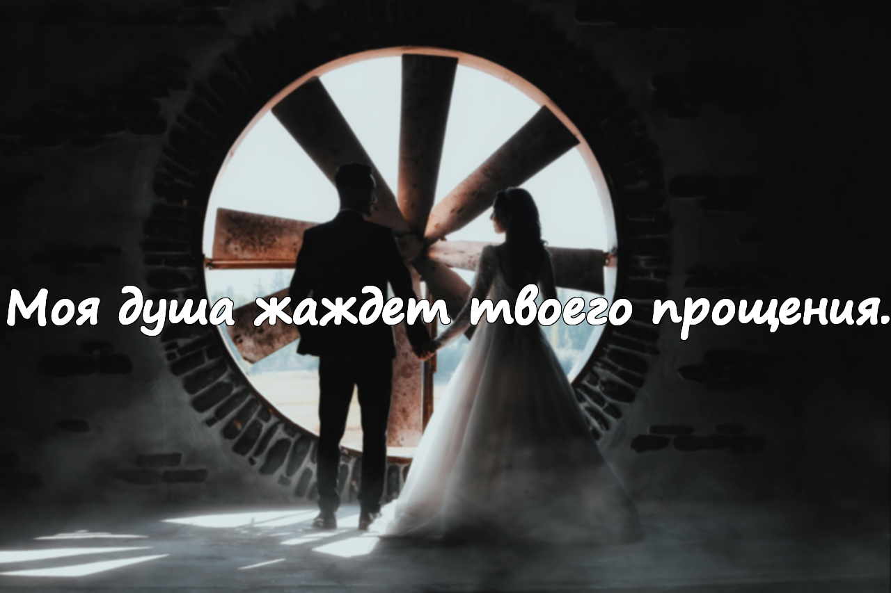 Слова прощения для моей любви