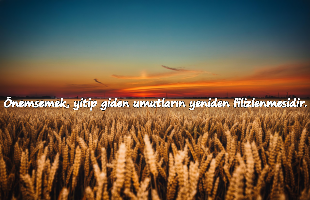 Önemsemek, yitip giden umutların yeniden filizlenmesidir.