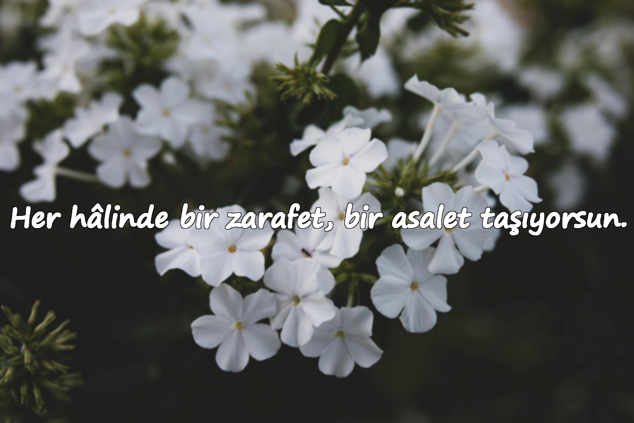 Her hâlinde bir zarafet, bir asalet taşıyorsun.