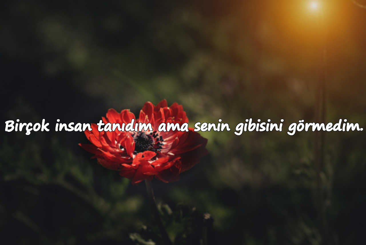 Birçok insan tanıdım ama senin gibisini görmedim.