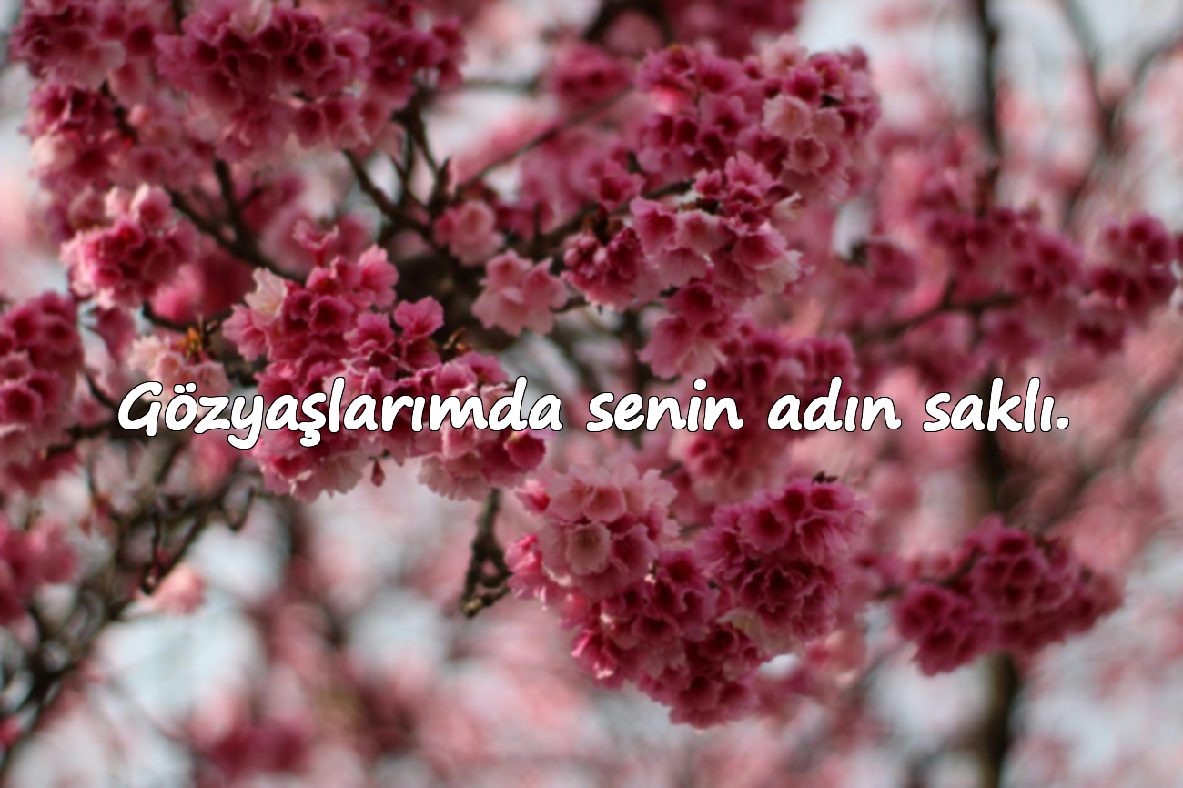 Gözyaşlarımda senin adın saklı.