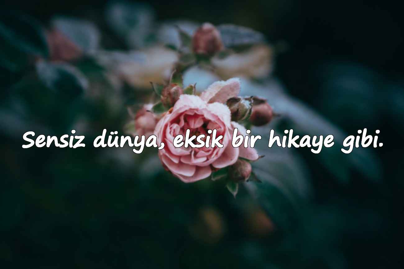 Sensiz dünya, eksik bir hikaye gibi.