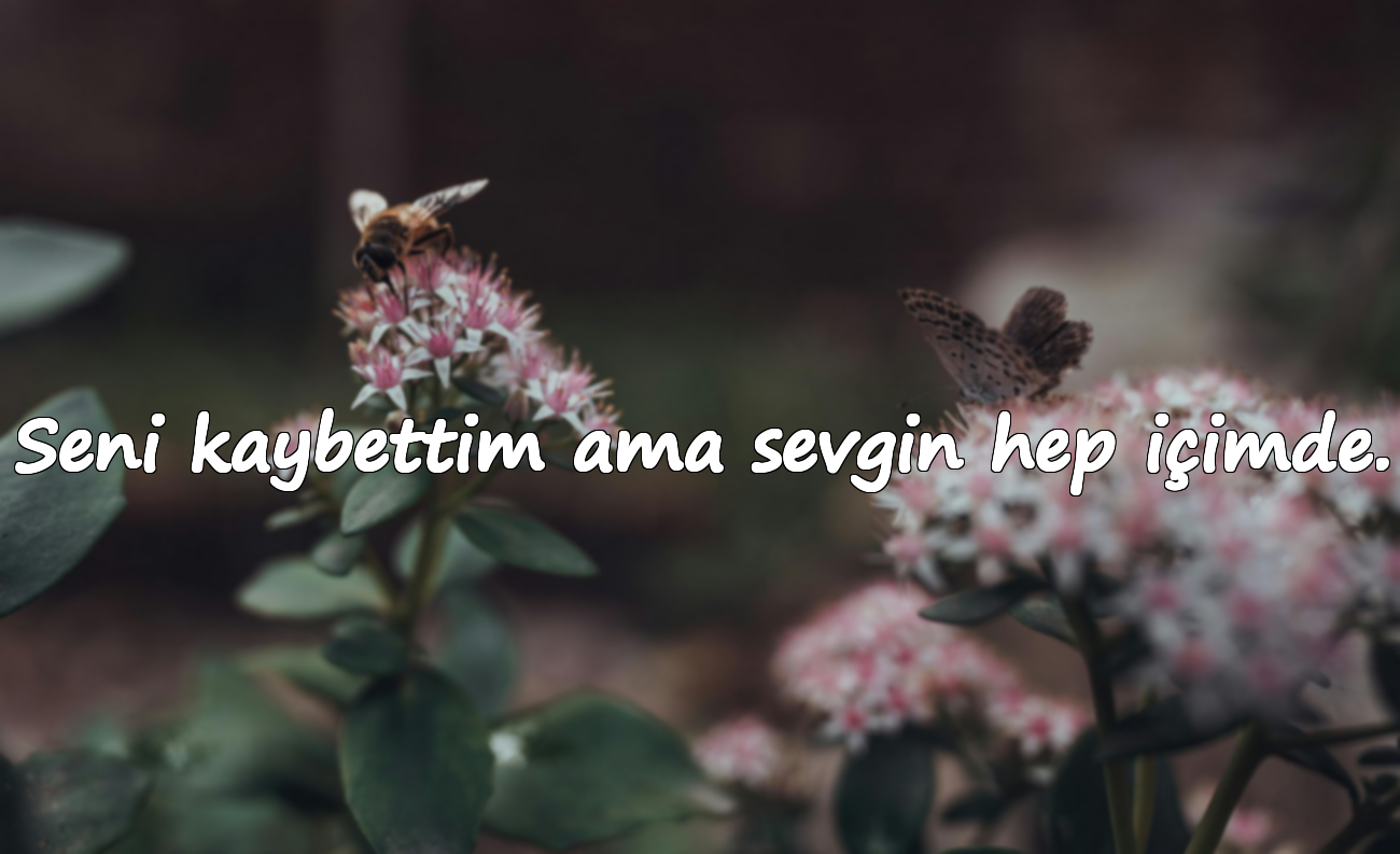 Seni kaybettim ama sevgin hep içimde.
