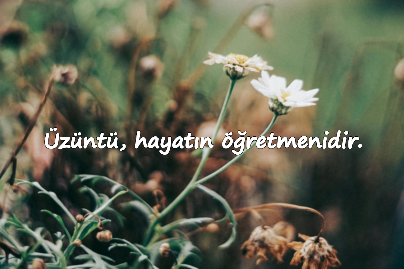 Üzüntü, hayatın öğretmenidir.