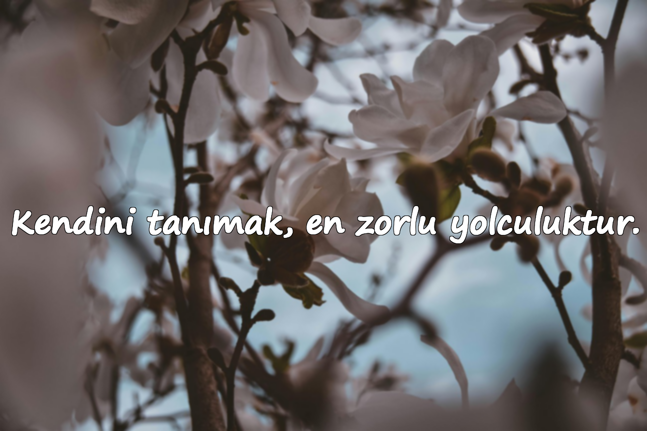Kendini tanımak, en zorlu yolculuktur.