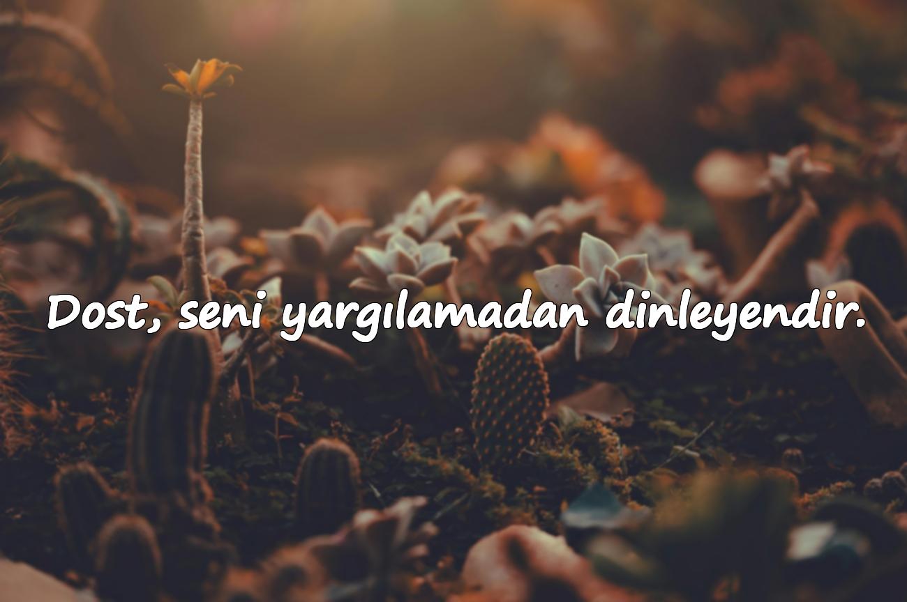 Dost İle İlgili Sözler