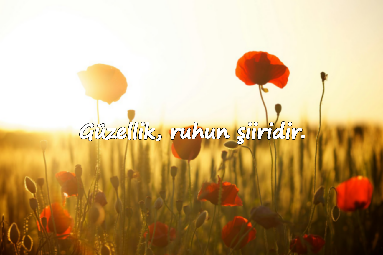 Güzellik, ruhun şiiridir.
