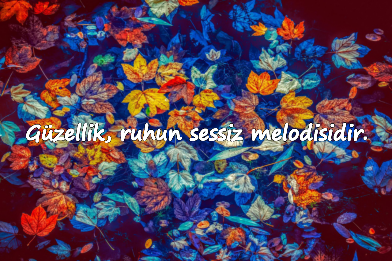 Güzellik, ruhun sessiz melodisidir.