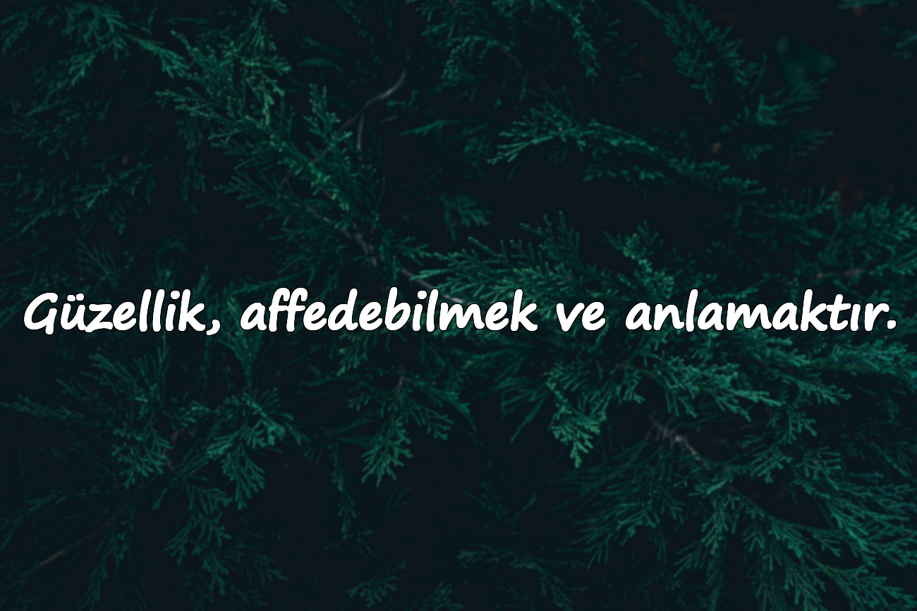 Güzellik, affedebilmek ve anlamaktır.
