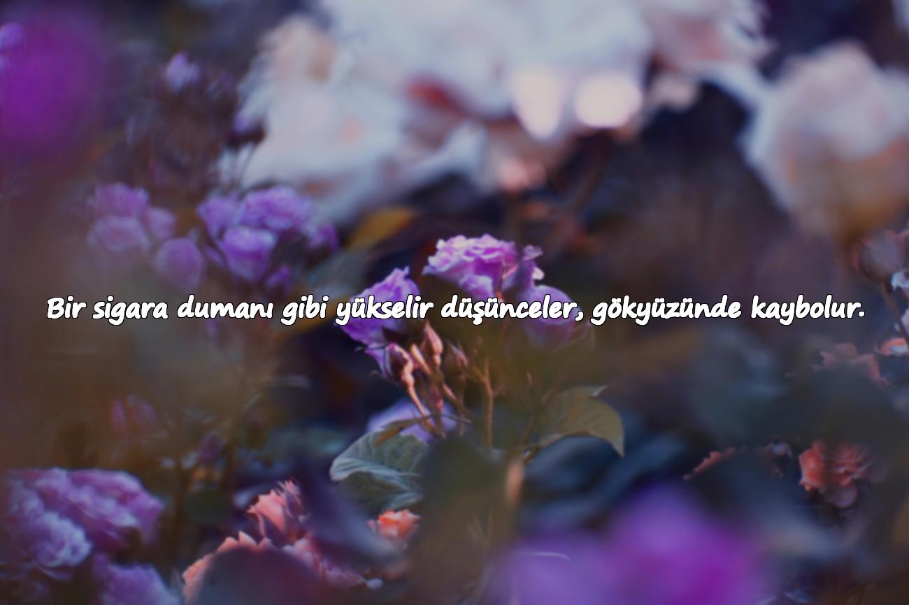 gece sözleri