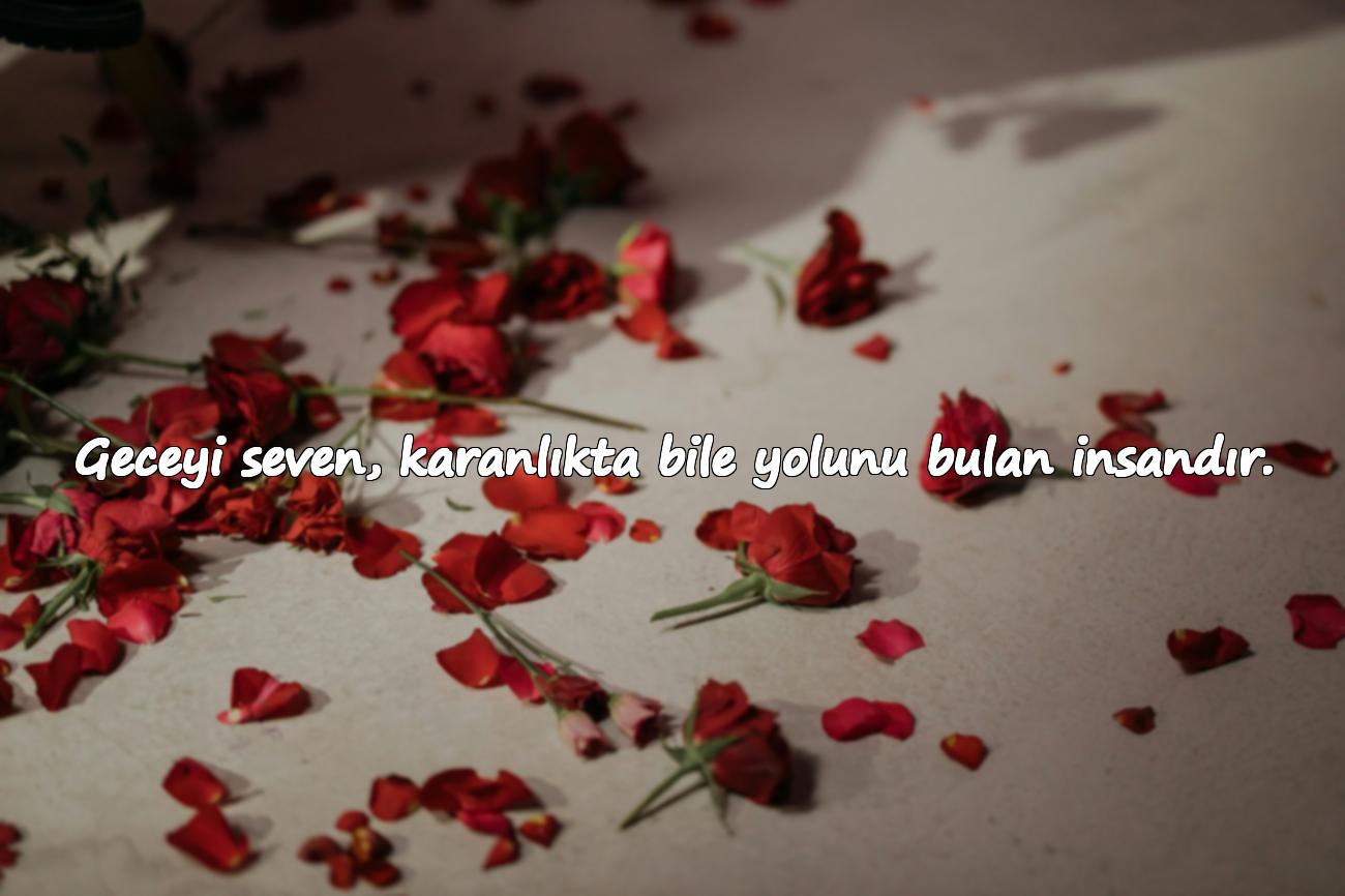 gece sözleri
