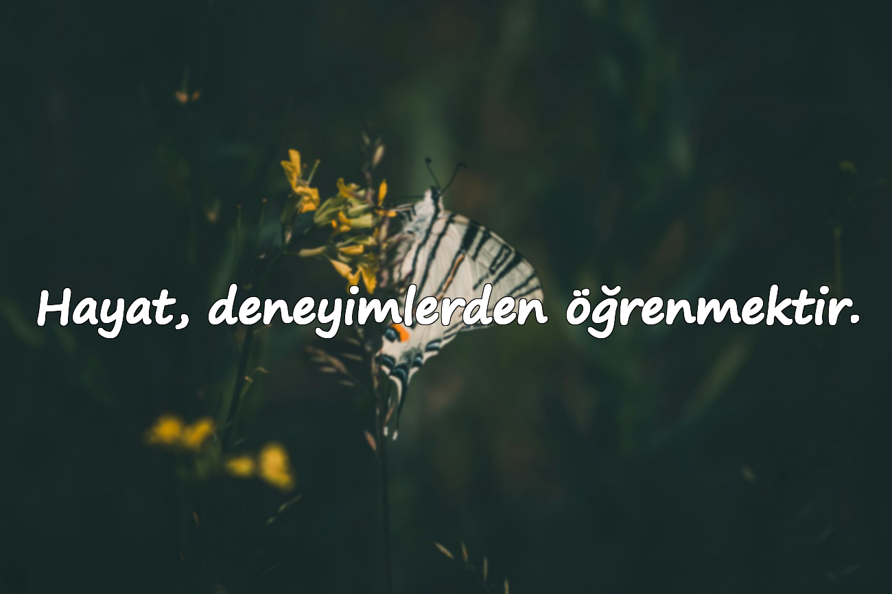 Hayat, deneyimlerden öğrenmektir.