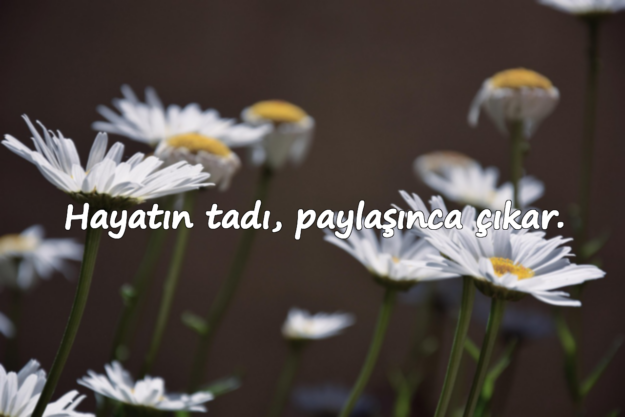 Hayatın tadı, paylaşınca çıkar.