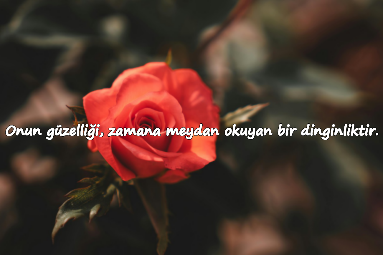 Onun güzelliği, zamana meydan okuyan bir dinginliktir.