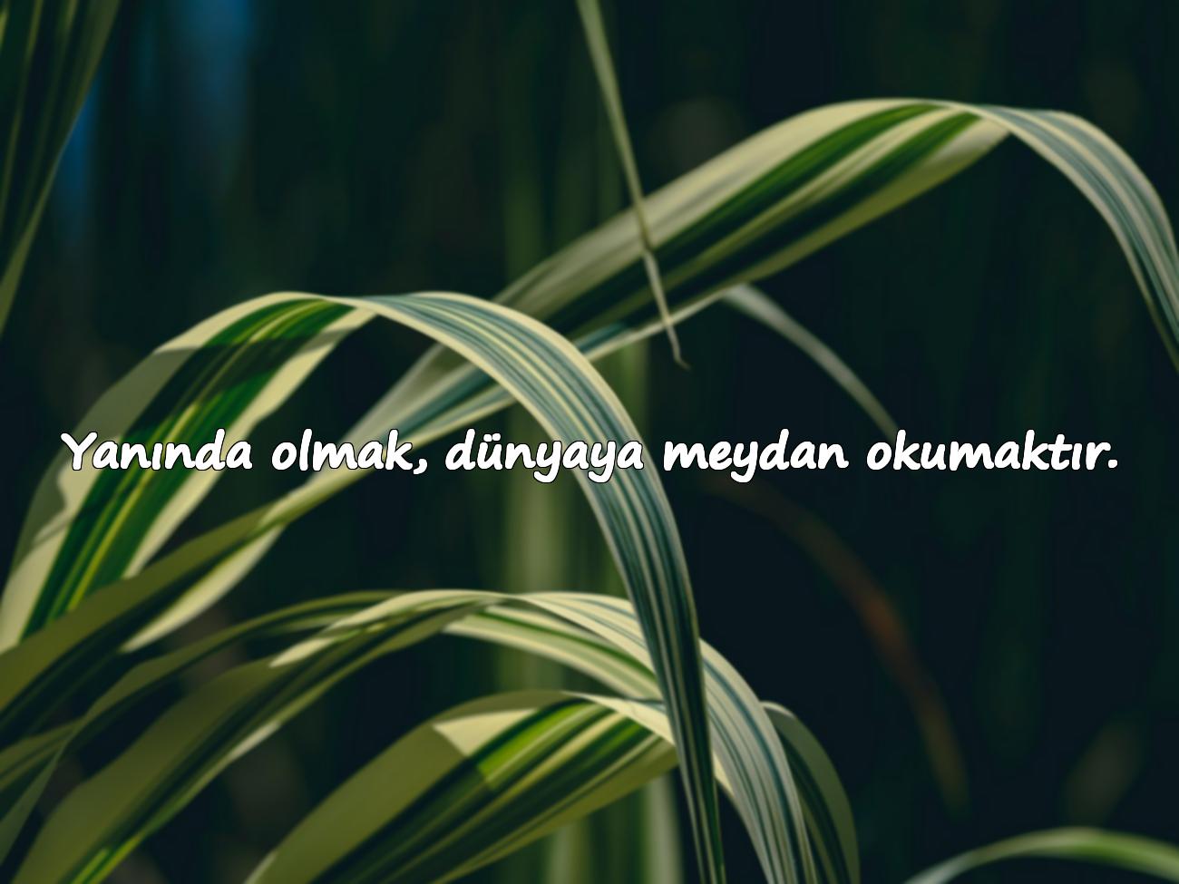İltifat sözleri