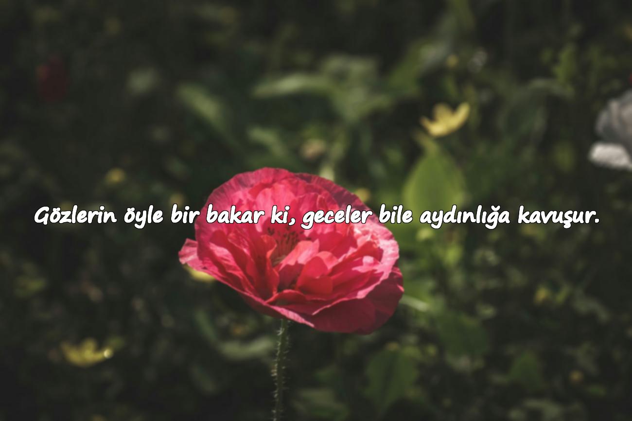 İltifat sözleri