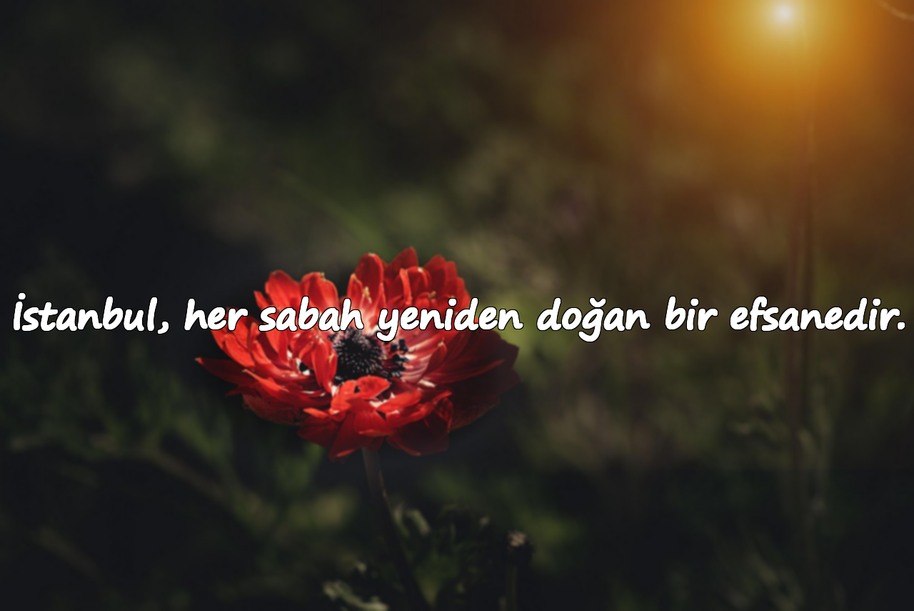 İstanbul, her sabah yeniden doğan bir efsanedir.