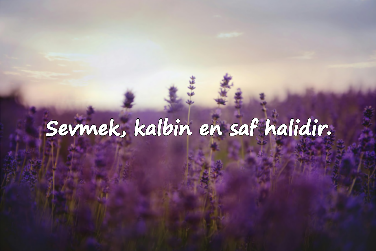 Sevmek, kalbin en saf halidir.