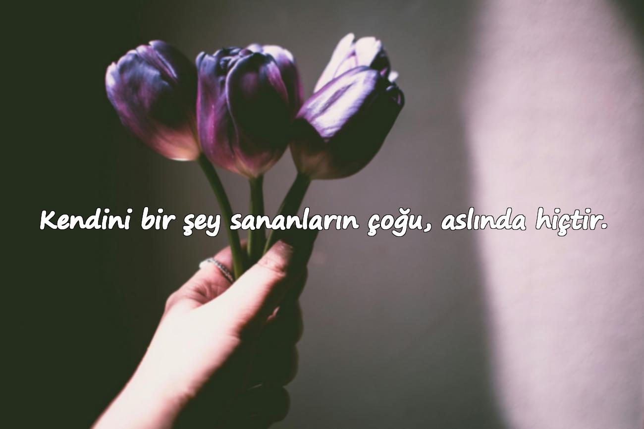 kapak sözler