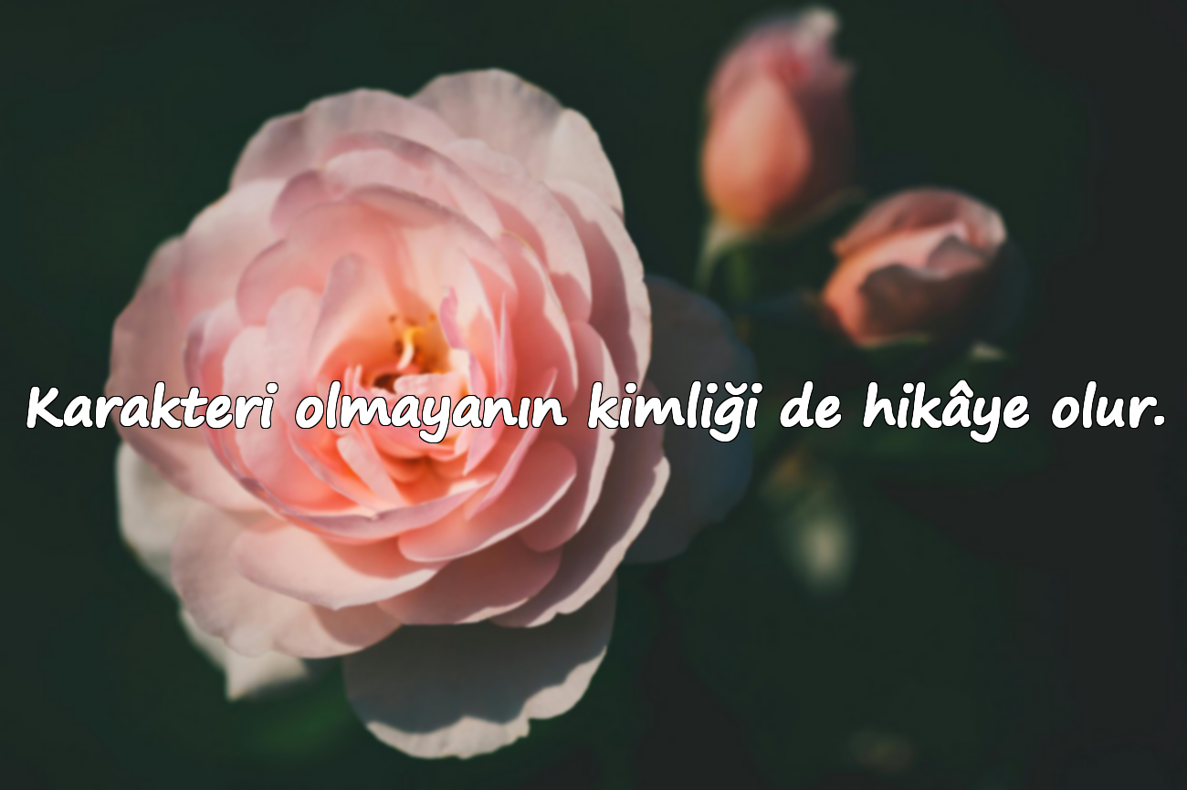 Karakteri olmayanın kimliği de hikâye olur.