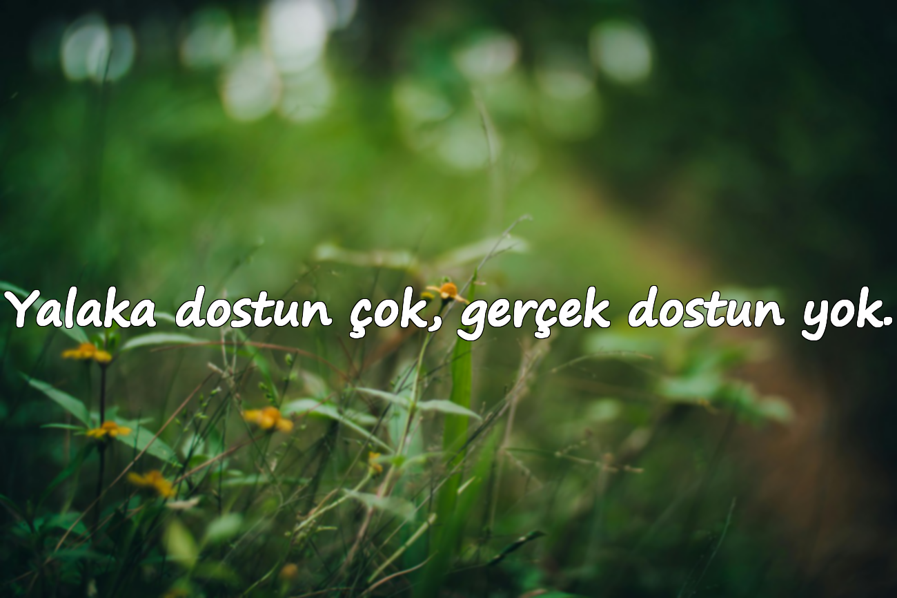 Yalaka dostun çok, gerçek dostun yok.