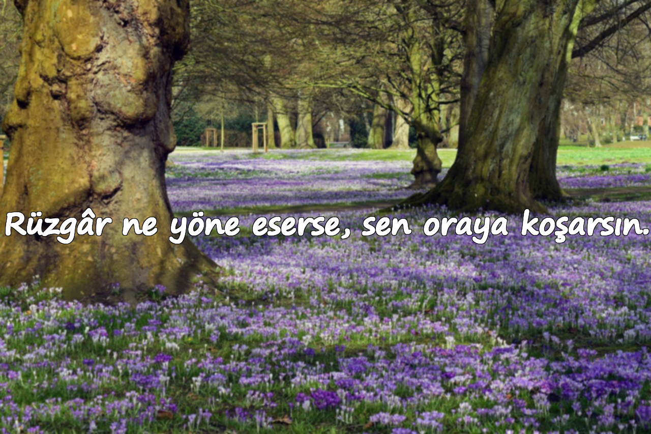 Rüzgâr ne yöne eserse, sen oraya koşarsın.