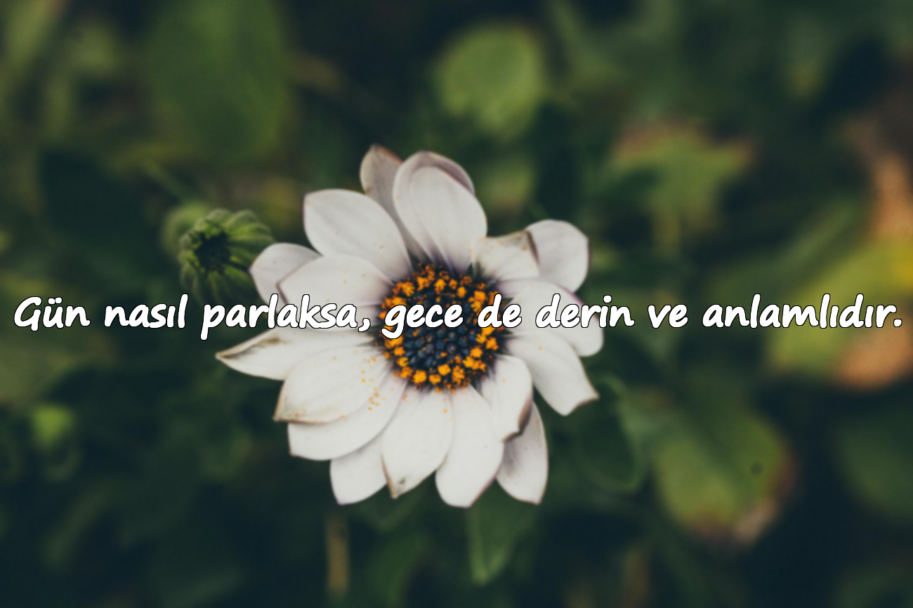 Gün nasıl parlaksa, gece de derin ve anlamlıdır.