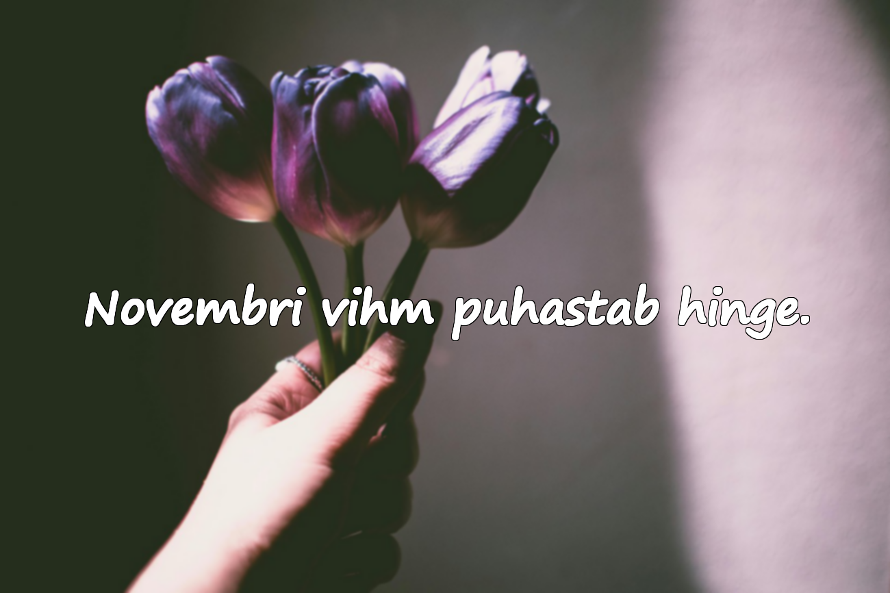 Novembri vihm puhastab hinge.