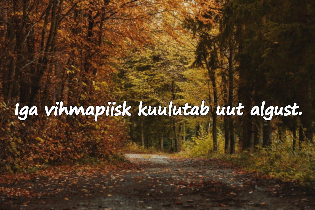 mõtlemapanevad Tsitaadid Novembrikuust