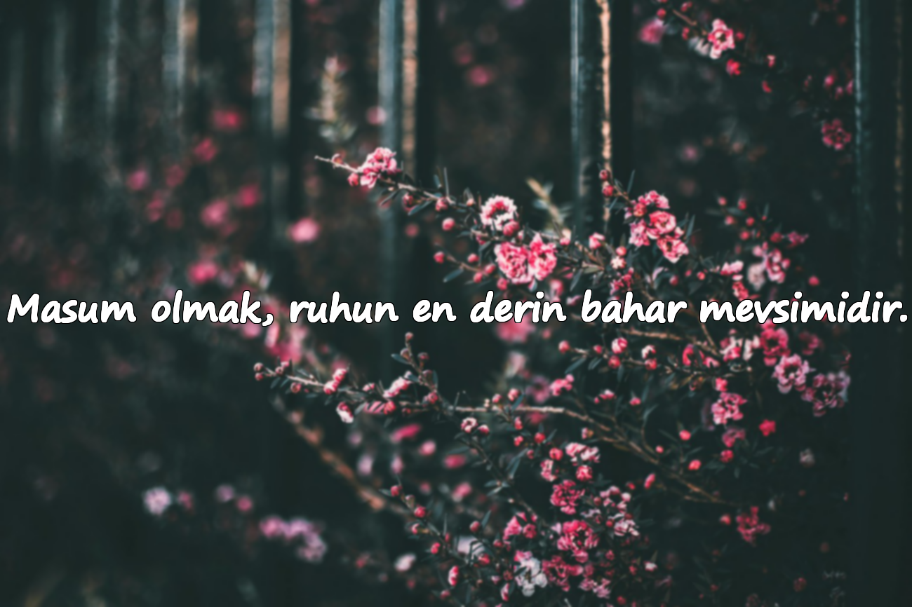 Masum olmak, ruhun en derin bahar mevsimidir.