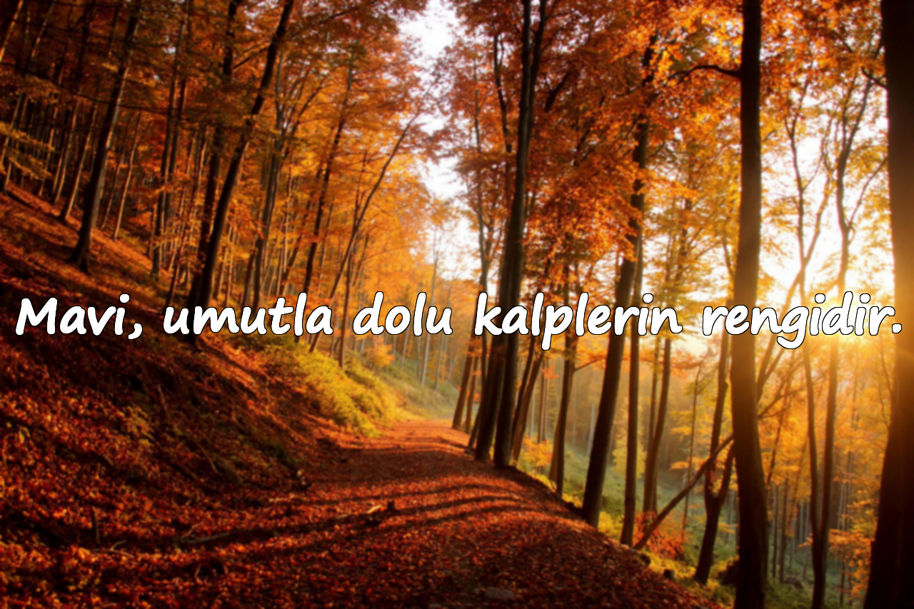 Mavi, umutla dolu kalplerin rengidir.