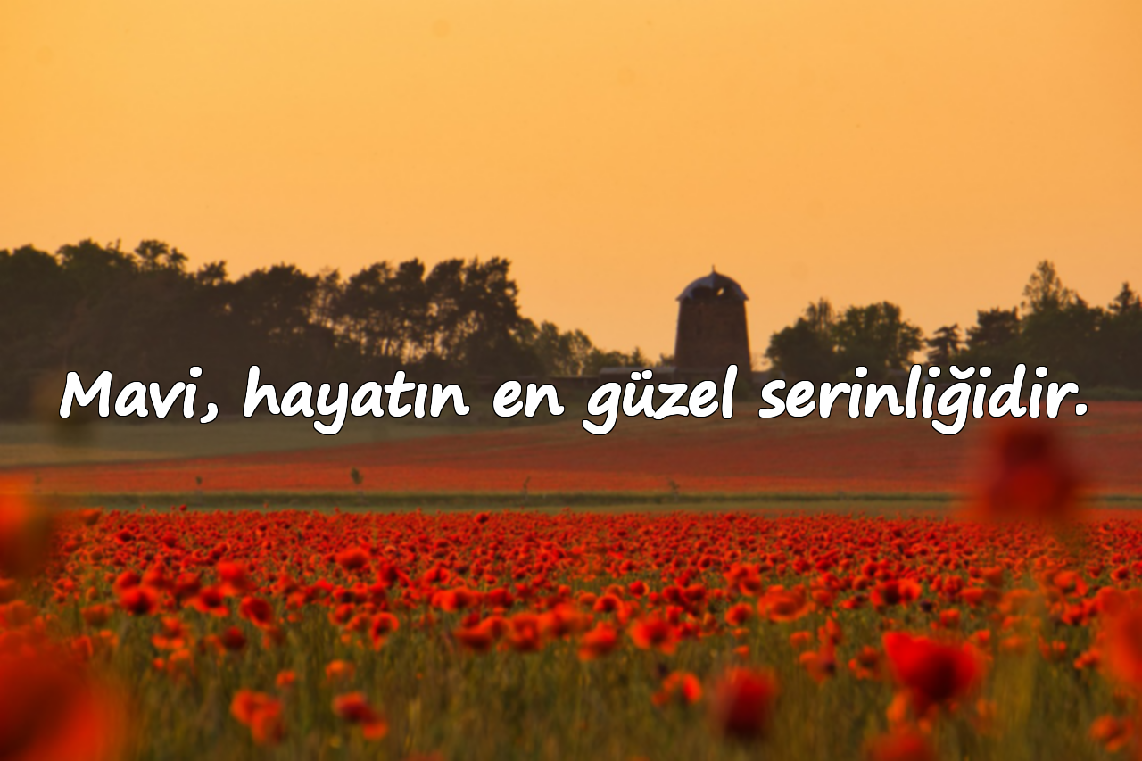 Mavi, hayatın en güzel serinliğidir.