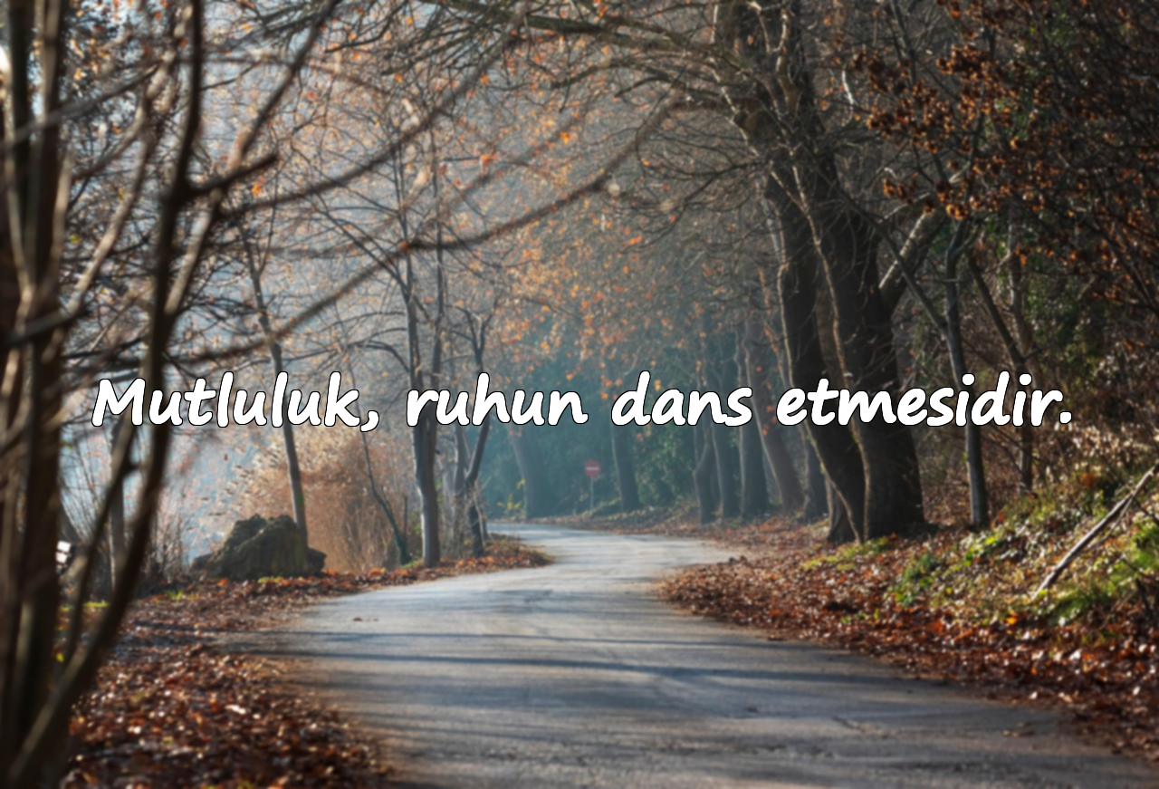 Mutluluk, ruhun dans etmesidir.